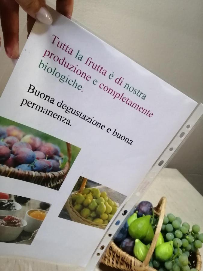 Casa Vacanze La Ca Del Cunfec 松德里奥 外观 照片